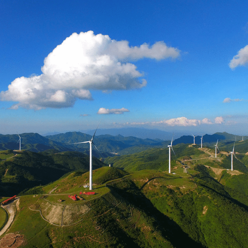 wind farm 2